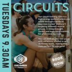 Circuits